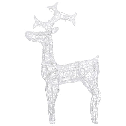Buitenkerstversiering Rendieren 90 Led's 60X16X100 Cm Acryl