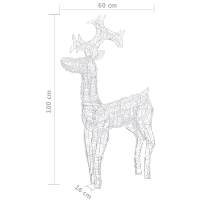 Buitenkerstversiering Rendieren 90 Led's 60X16X100 Cm Acryl