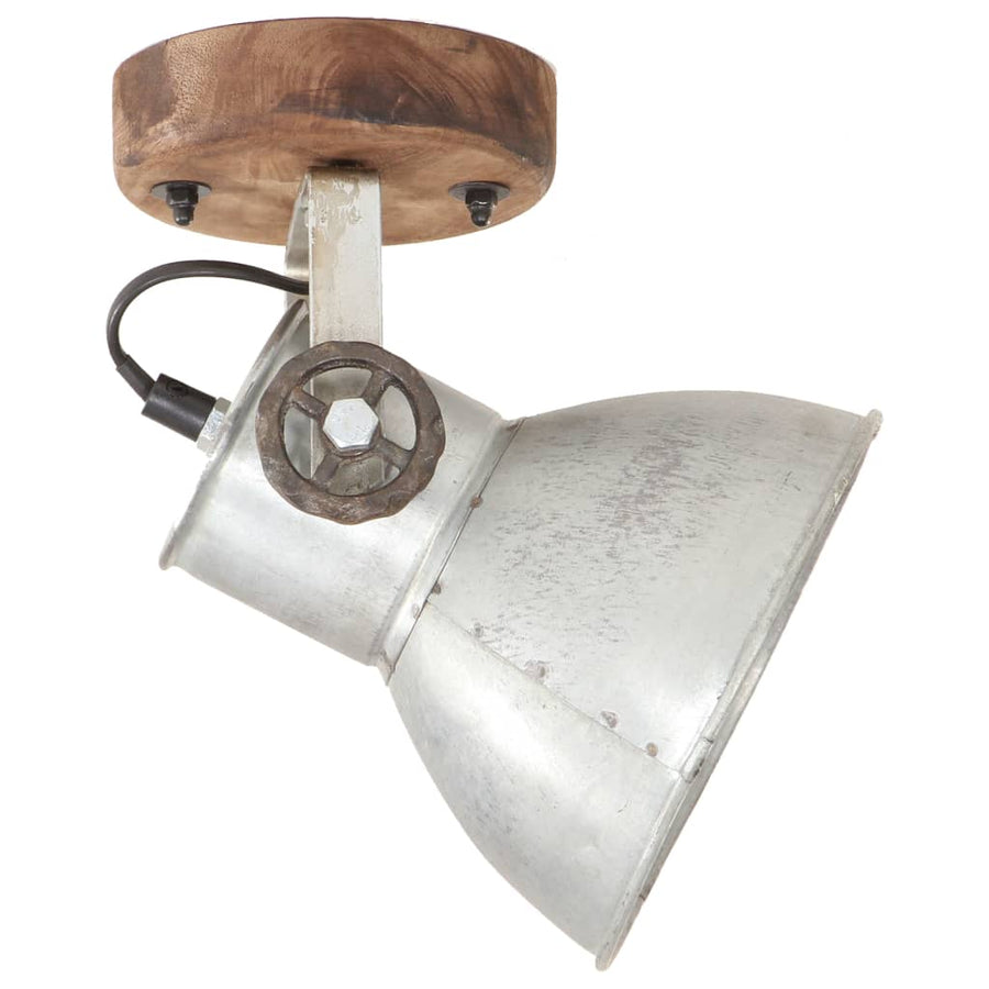 Wand-/plafondlampen industrieel 2 st E27 20x25 cm zilverkleurig 2 x enkele lamp Zilver