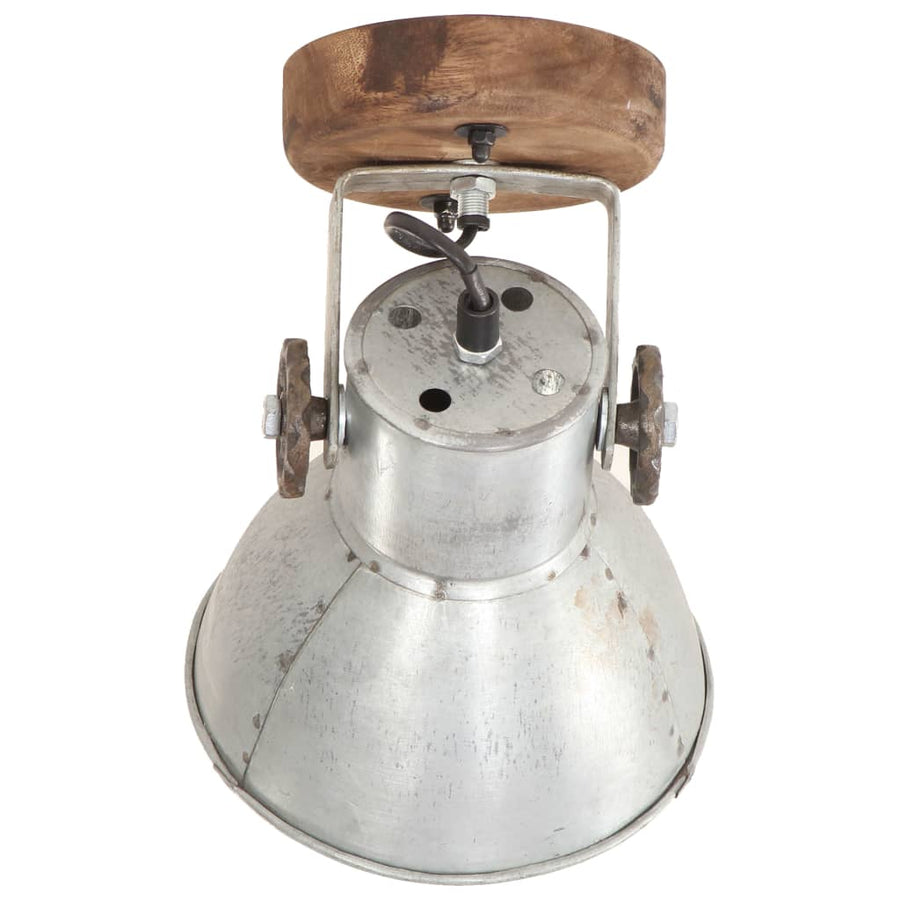 Wand-/plafondlampen industrieel 2 st E27 20x25 cm zilverkleurig 2 x enkele lamp Zilver