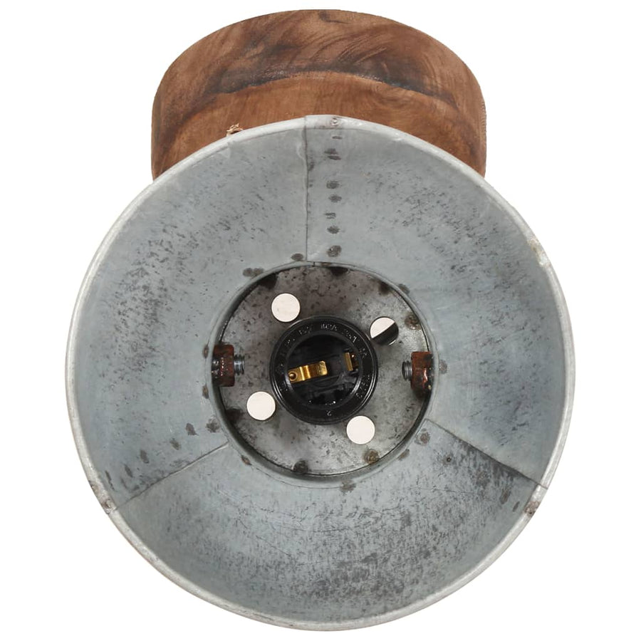 Wand-/plafondlampen industrieel 2 st E27 20x25 cm zilverkleurig 2 x enkele lamp Zilver