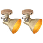 Industrial wall/ceiling lights 2 pcs E27 20x25 cm brass-colored