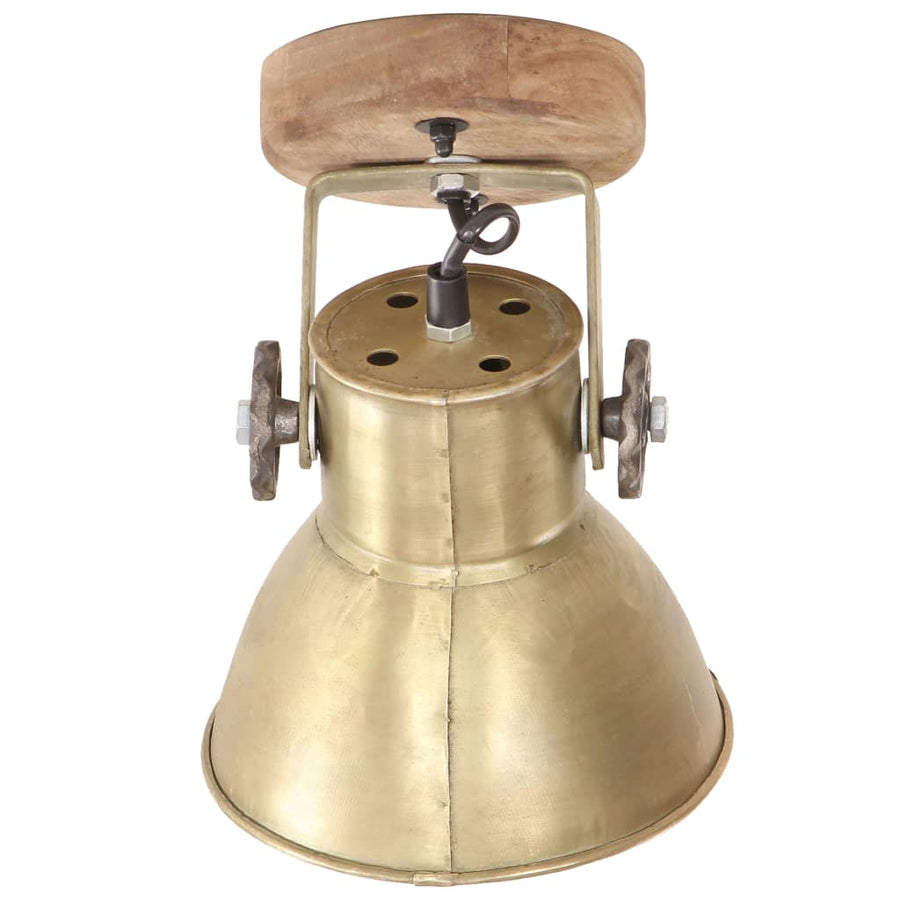 Wand-/Plafondlampen Industrieel 2 St E27 20X25 Cm Messingkleur 2 x enkele lamp Koper