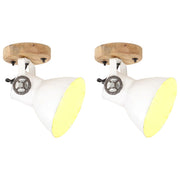 Wandlamp plafondlamp industrieel 2 st 20x25 cm wit