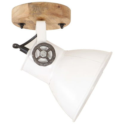 Wand-/Plafondlampen Industrieel 2 St E27 20X25 Cm 2 x enkele lamp Wit