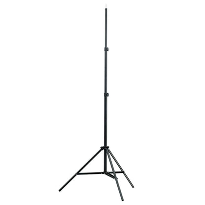 Fotostudioset Met Softboxlampen En Achtergrond 300 x 300 cm Groen