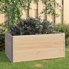 Raised Planter Solid Pine Wood 3
