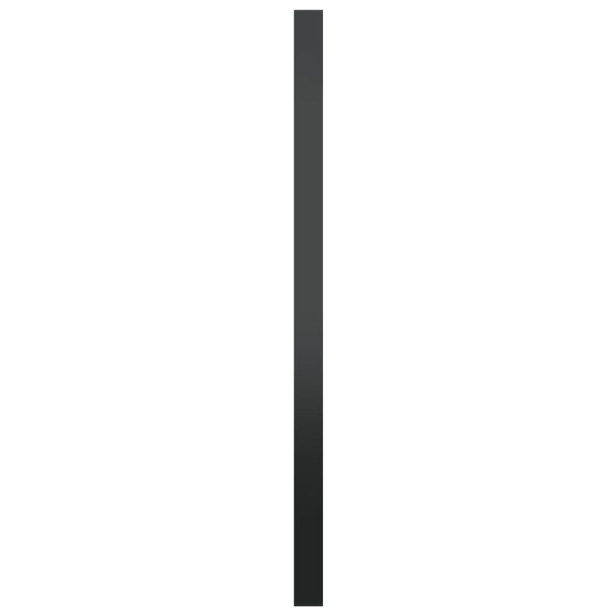 Wandspiegel 60 cm zwart