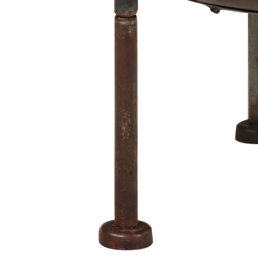Vuurplaats Ø40 cm ijzer Ø 40 cm Bruin