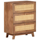 Dressoir 61x35x76 cm massief mangohout riet