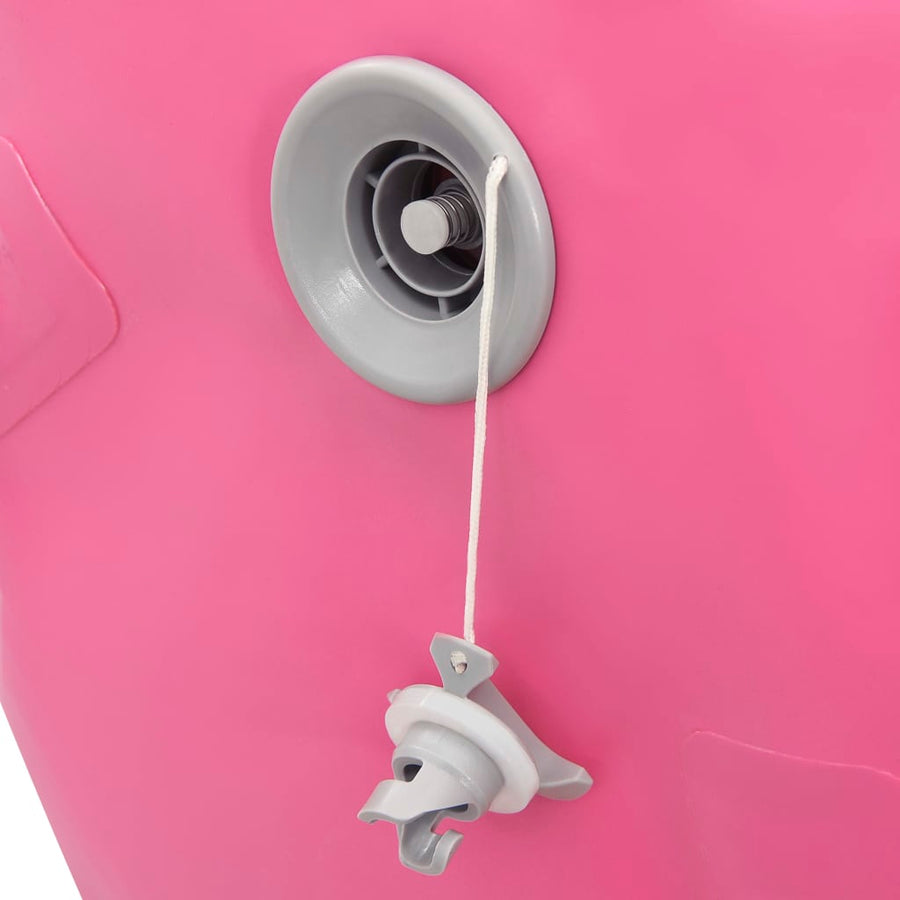 Gymnastiekrol Met Pomp Opblaasbaar 100X60 Cm Pvc Roze 100 x 60 cm