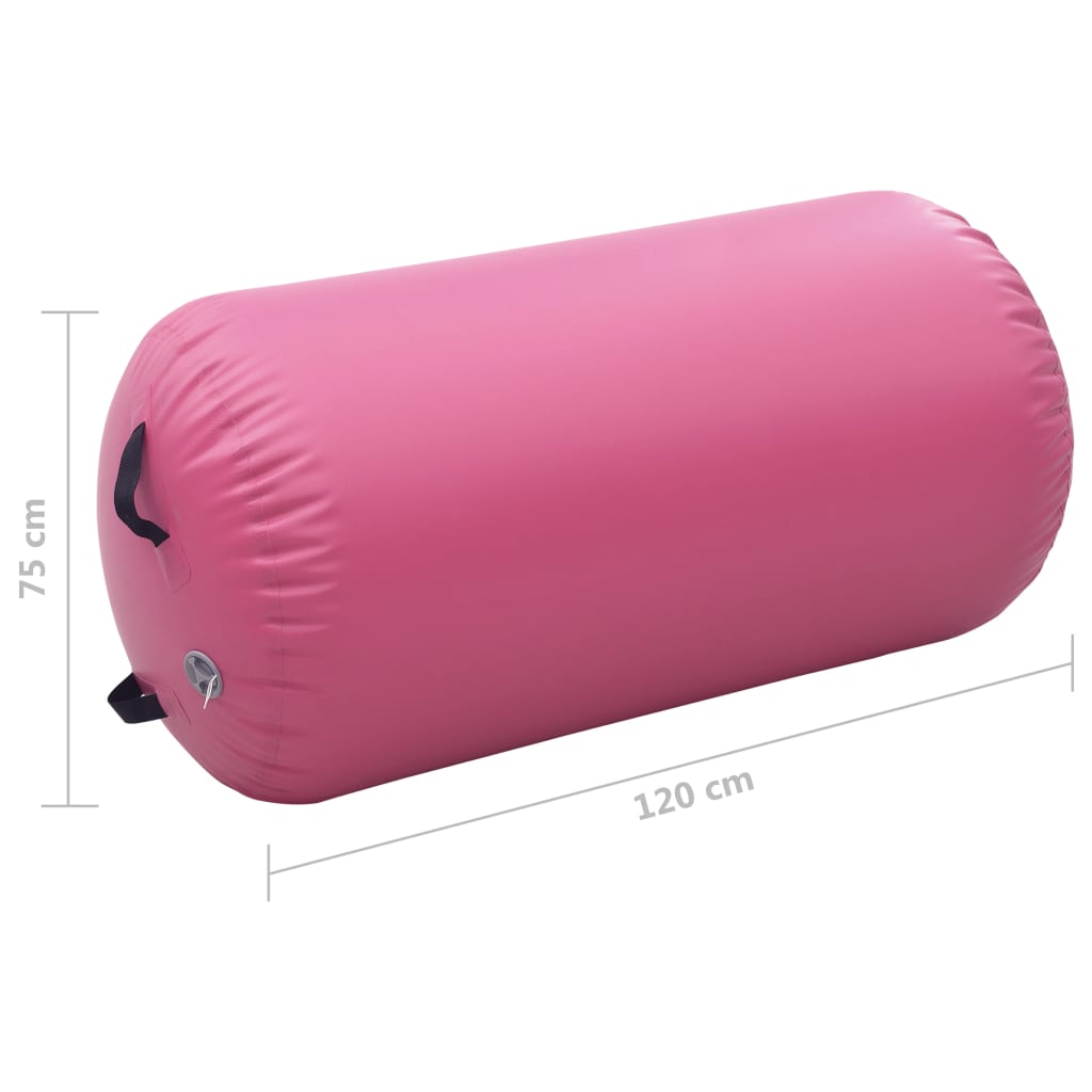 Gymnastiekrol Met Pomp Opblaasbaar Pvc 120 x 75 cm Roze