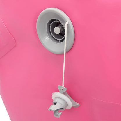 Gymnastiekrol Met Pomp Opblaasbaar 120X90 Cm Pvc Roze 120 x 90 cm