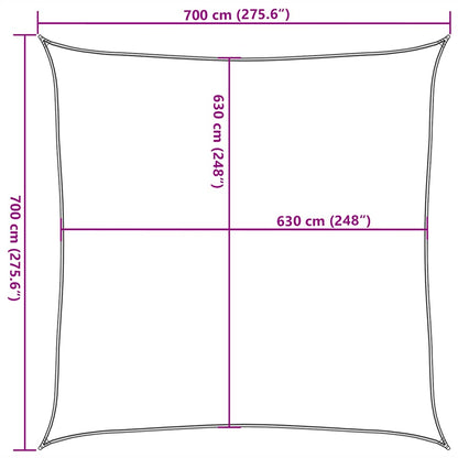 Zonnezeil 160 G/M² Vierkant Hdpe Blauw 7 x 7 m
