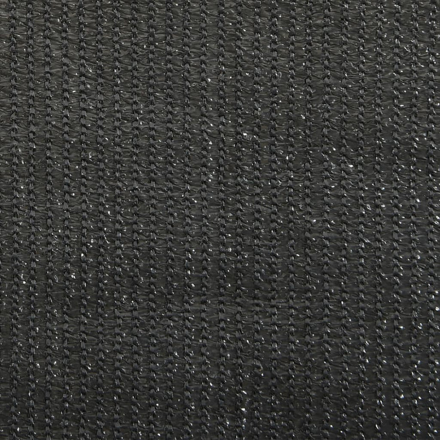 Rolgordijn Voor Buiten Antracietkleurig 80 x 140 cm