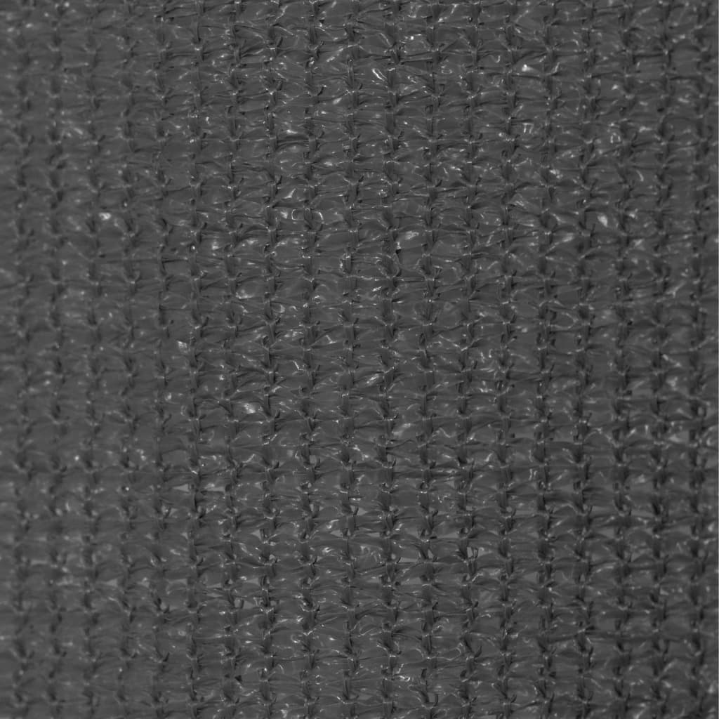 Rolgordijn Voor Buiten Antracietkleurig 60 x 230 cm