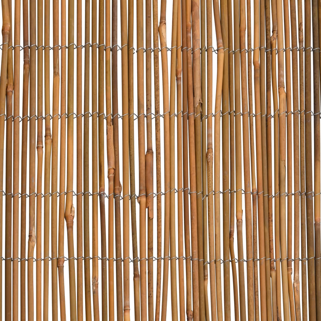 Scherm Bamboe 500 x 100 cm