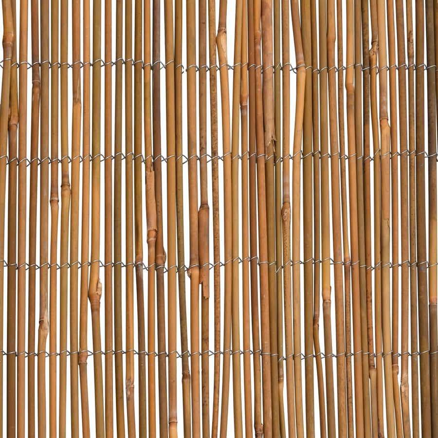 Scherm Bamboe 500 x 100 cm