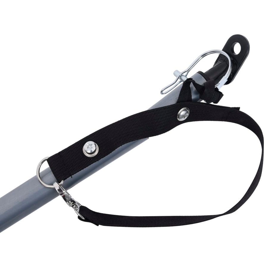 Fietstrailer 65 Kg Zwart en blauw