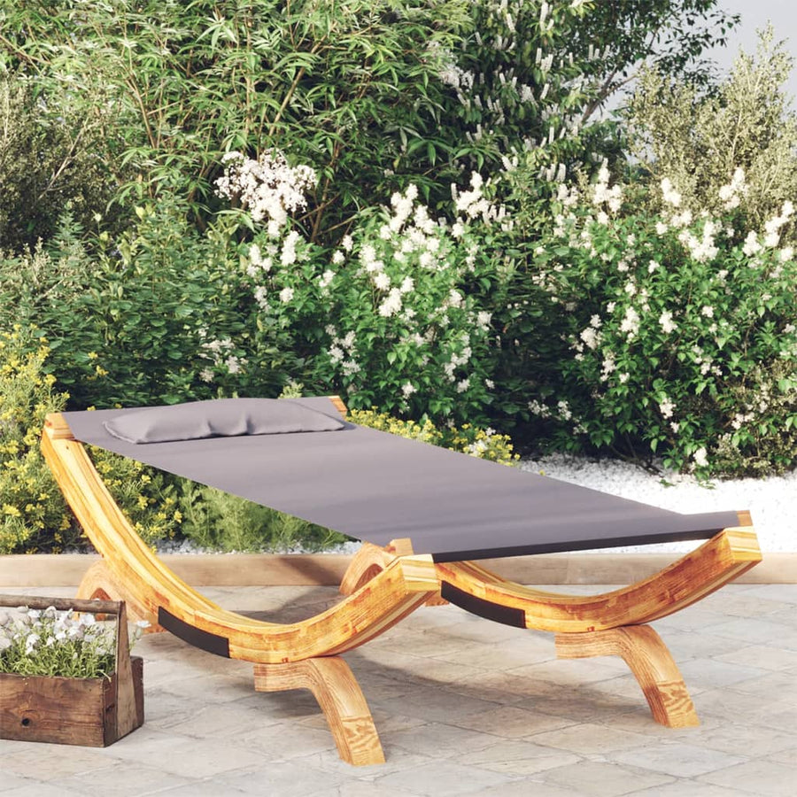 Loungebed 100X188,5X44 Cm Massief Gebogen Hout Kleurig 100 x 188.5 x 44 cm Antraciet