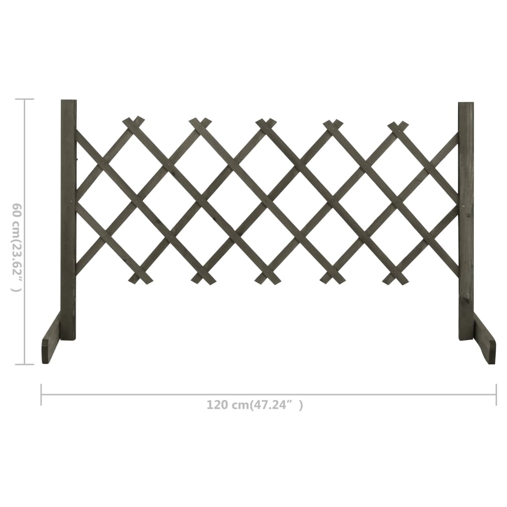 Tuinlatwerk 120x60 cm massief vurenhout grijs 120 x 60 cm Grijs