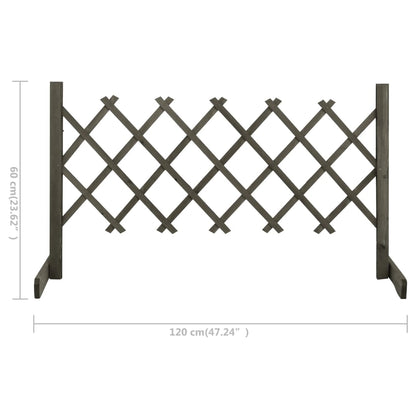 Tuinlatwerk 120x60 cm massief vurenhout grijs 120 x 60 cm Grijs