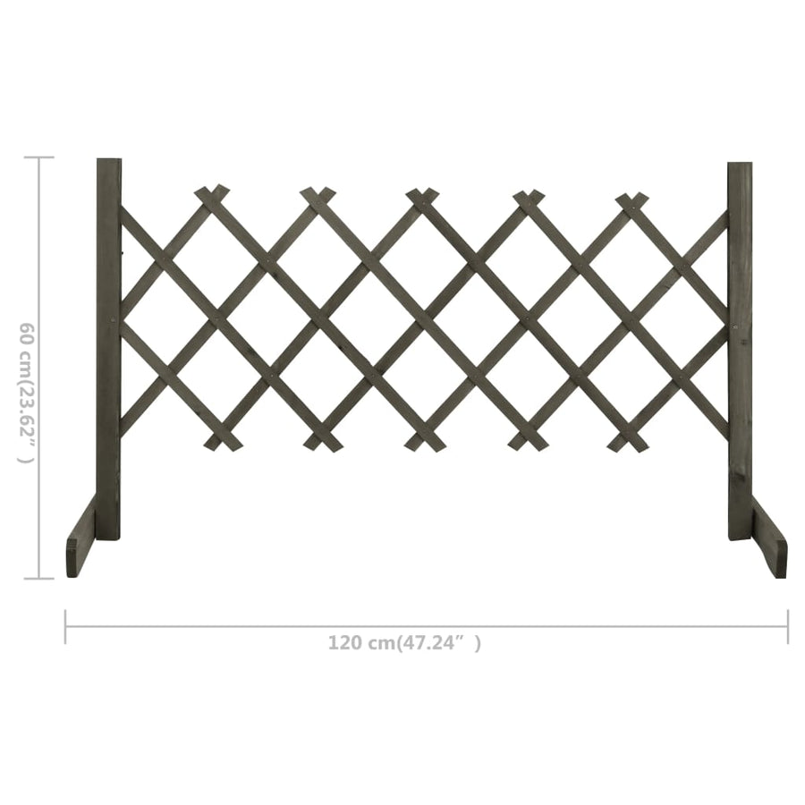 Tuinlatwerk 120x60 cm massief vurenhout grijs 120 x 60 cm Grijs