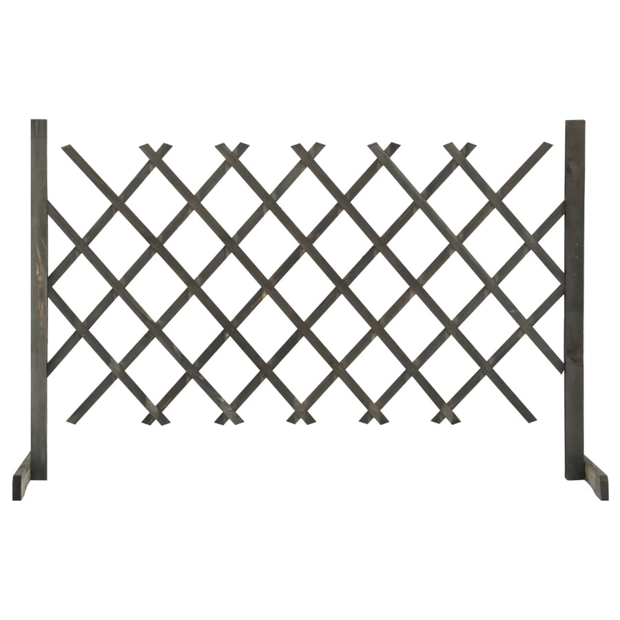 Tuinlatwerk 120X60 Cm Massief Vurenhout Oranje