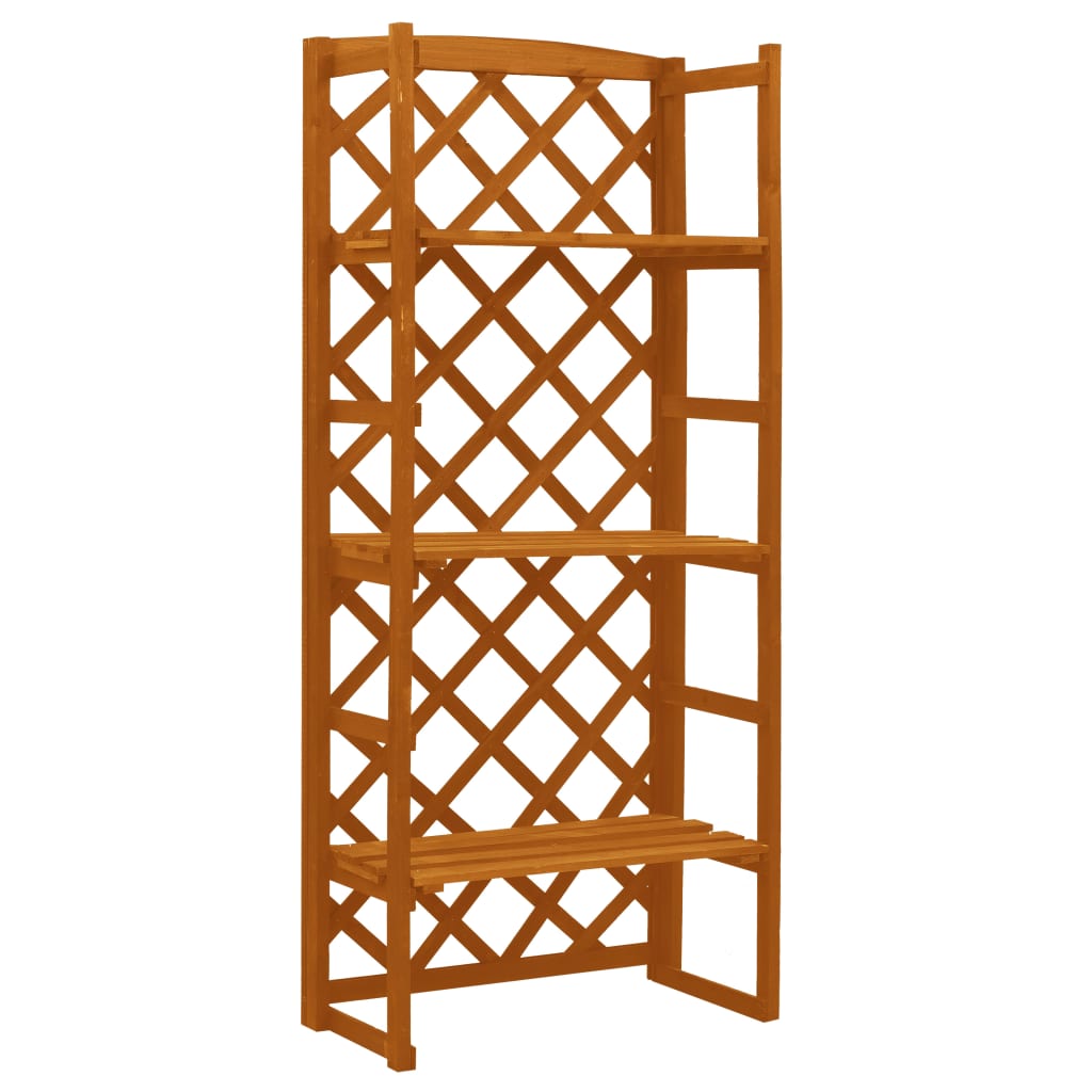 Plantenrek Met Latwerk 60X30X140 Cm Massief Vurenhout Oranje