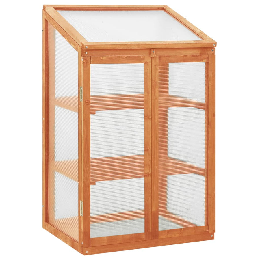 Broeikas 60X45X00 Cm Vurenhout orange