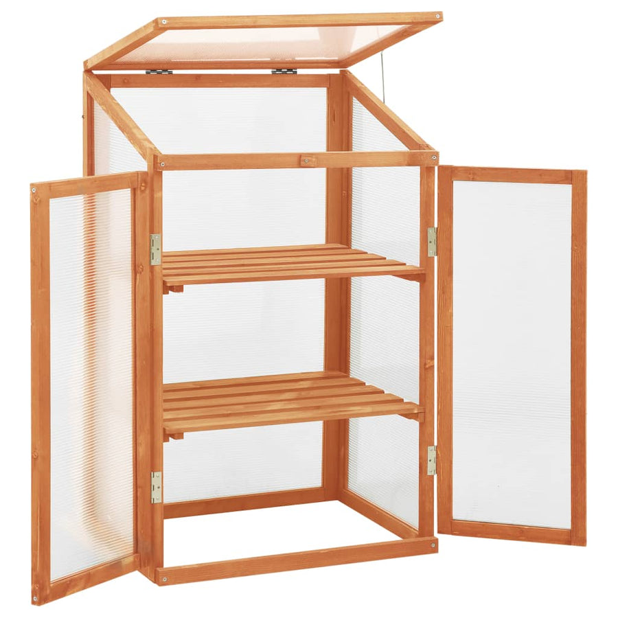 Broeikas 60X45X00 Cm Vurenhout orange
