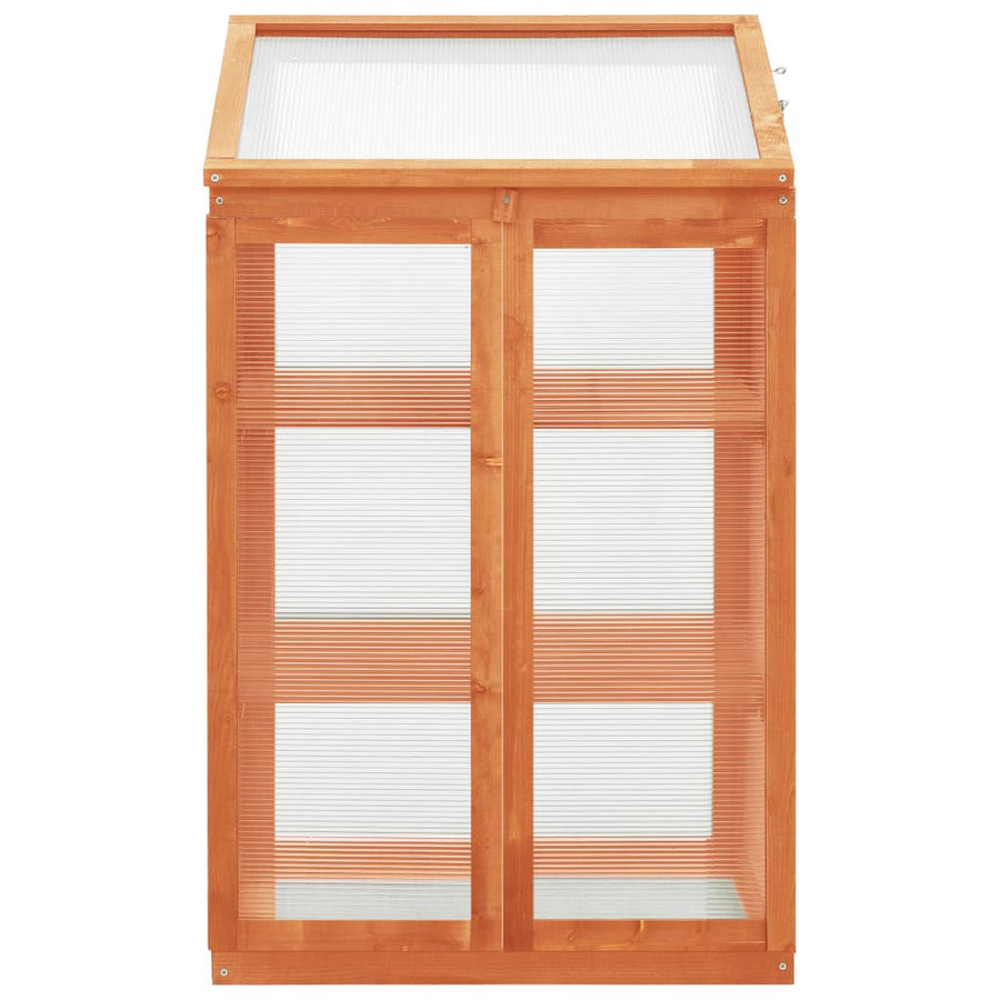 Broeikas 60X45X00 Cm Vurenhout orange