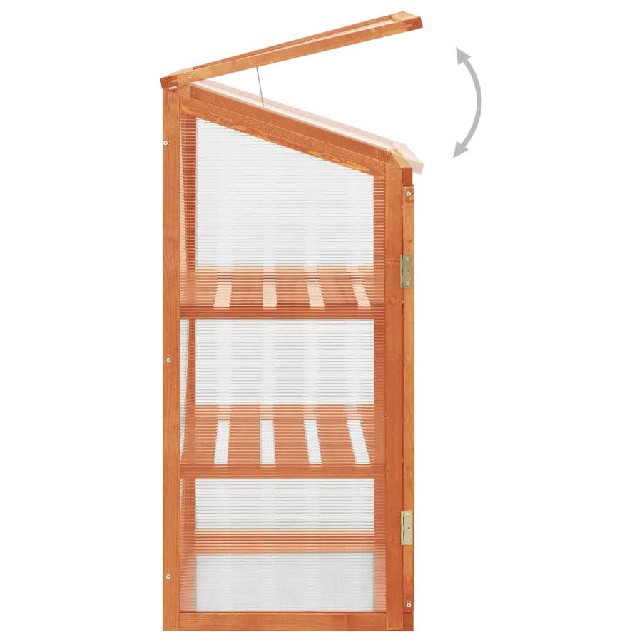 Broeikas 60X45X00 Cm Vurenhout orange
