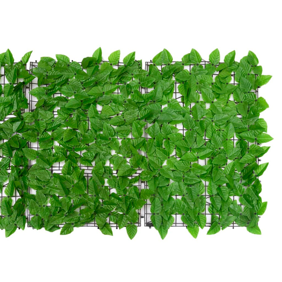 Balkonscherm Met E Bladeren 500 x 75 cm Groen