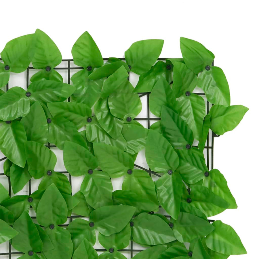 Balkonscherm Met E Bladeren 500 x 100 cm Groen