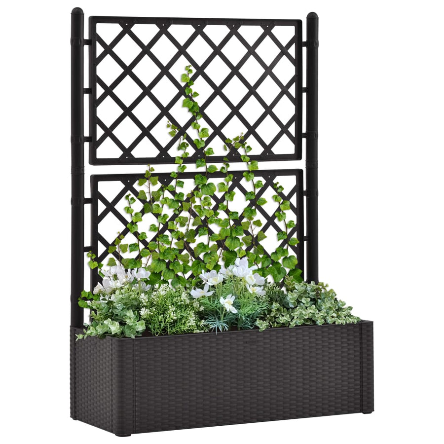 Plantenbak hoog met latwerk en zelfbewateringssysteem antraciet 100 x 43 x 142 cm Antraciet