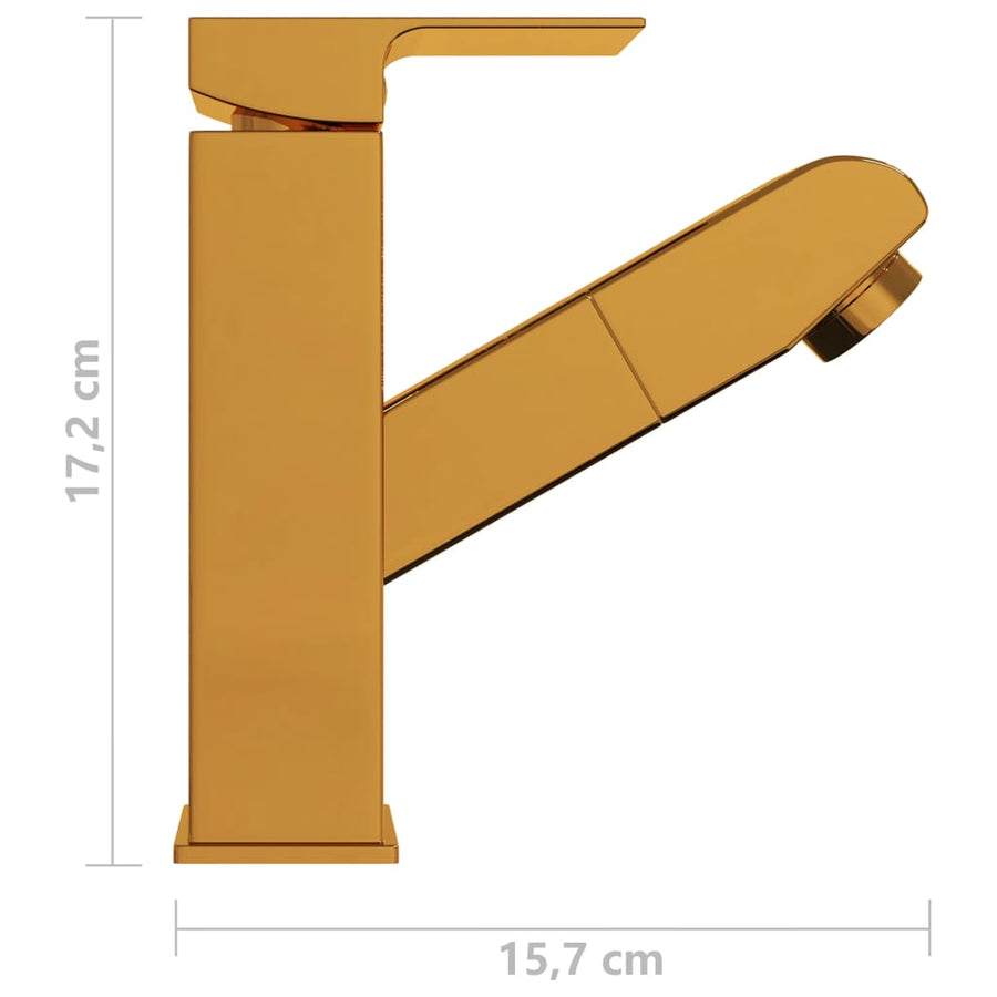 Wastafelkraan met uittrekfunctie 157x172 mm goudkleurig Goud