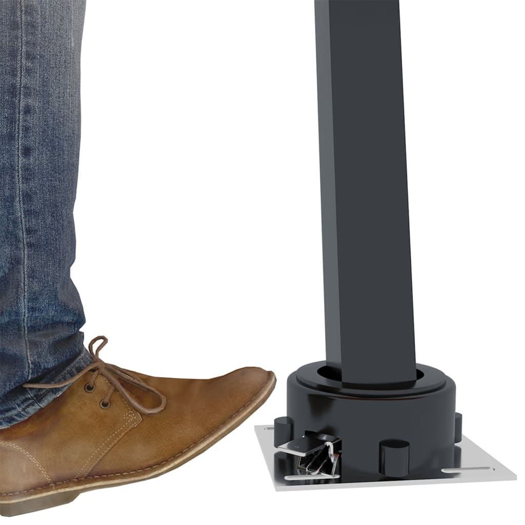 Luifelpaalset Ijzer Kleurig 600 x 245 cm Antraciet