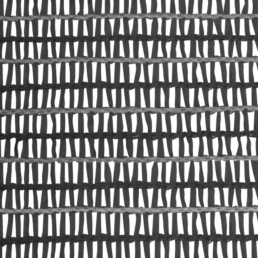 Privacynet 75 G/M² 1,5X25 M Hdpe Kleurig Antraciet 1.5 x 25 m (75 g)