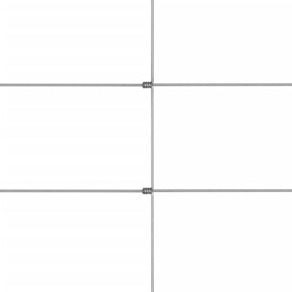 Tuinhek 50X1,6 M Gegalvaniseerd Staal Zilverkleurig 1