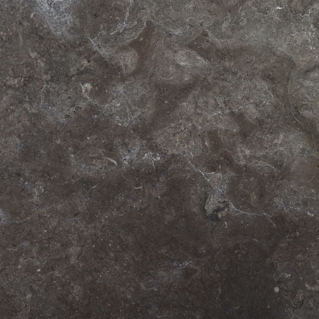 Tafelblad Ø40X2,5 Cm Marmer Ø 40 x 2.5 cm Zwart