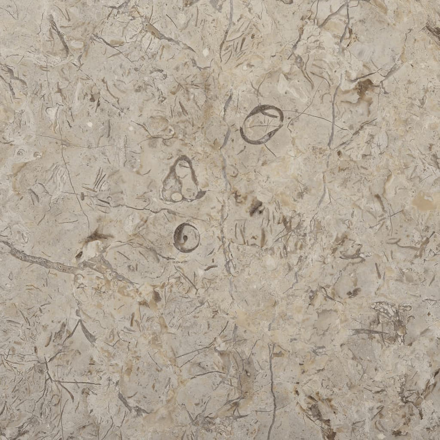 Tafelblad Ø50X2,5 Cm Marmer Ø 50 x 2.5 cm Grijs