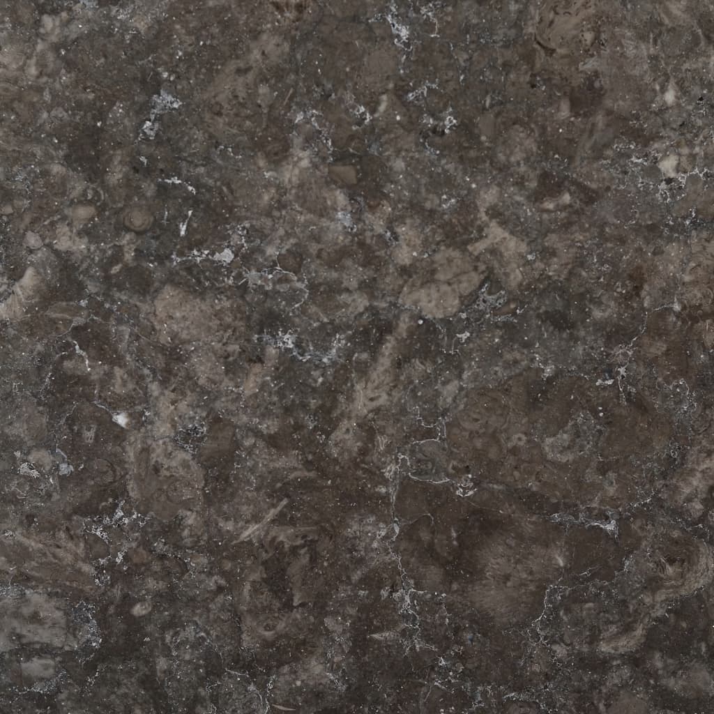 Tafelblad Ø60X2,5 Cm Marmer Ø 60 x 2.5 cm Zwart