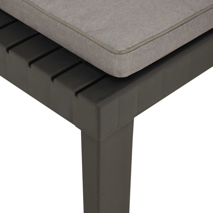 Loungestoel Met Kussen Kunststof 1 Grijs