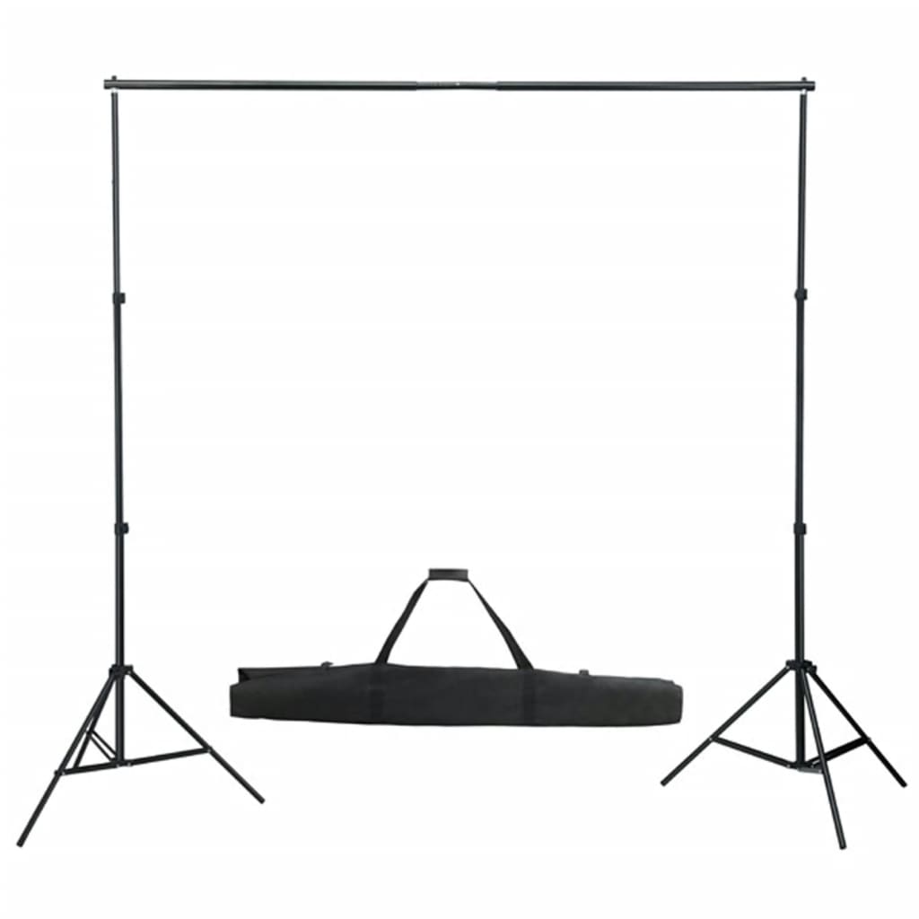 Fotostudioset Met Lampen, Paraplu's, Achtergrond En Reflector 300 x 300 cm Zwart