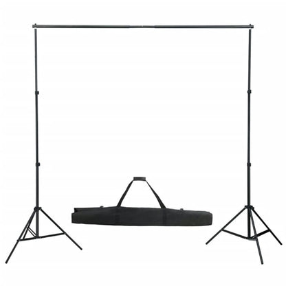 Fotostudioset Met Lampen, Paraplu's, Achtergrond En Reflector 300 x 300 cm Zwart
