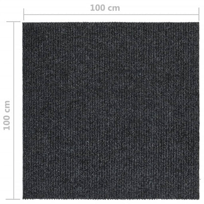 Droogloopmat Kleurig 100 x 100 cm Antraciet