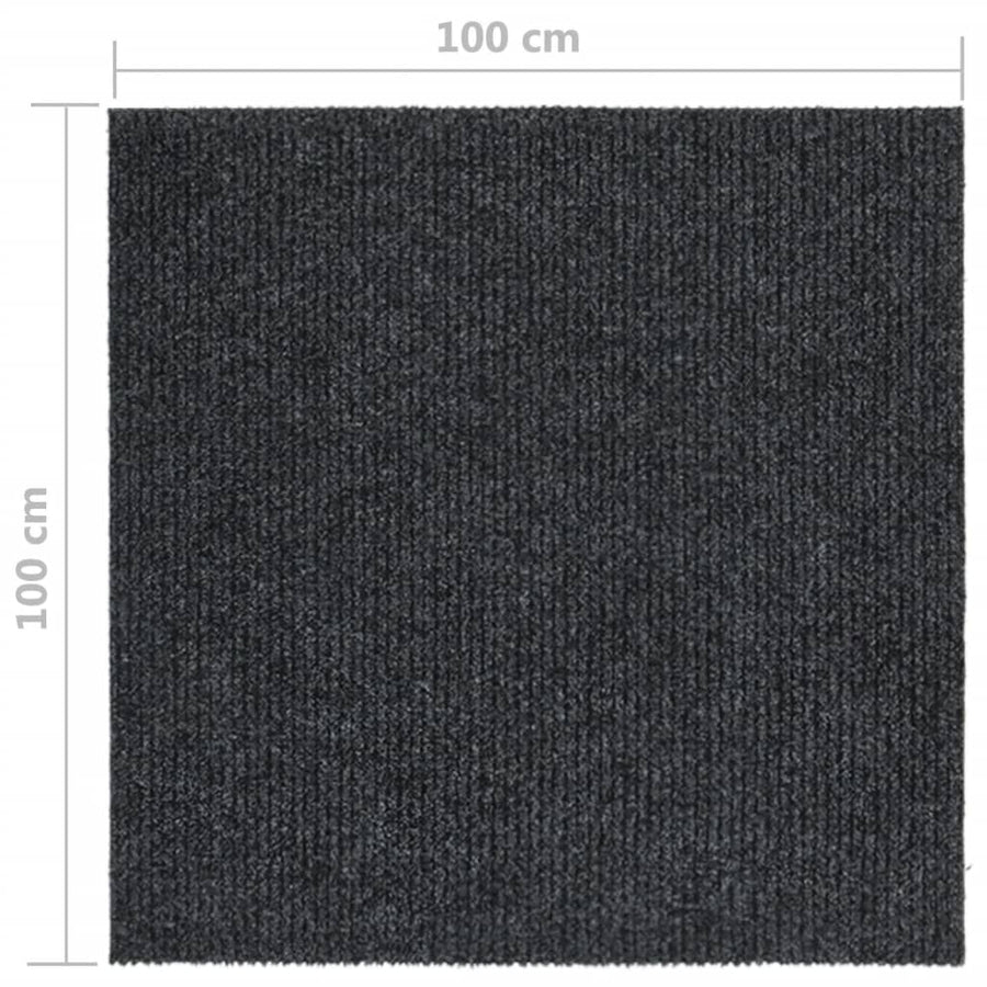 Droogloopmat Kleurig 100 x 100 cm Antraciet