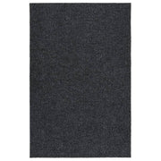 Droogloopmat 100x150 cm antraciet
