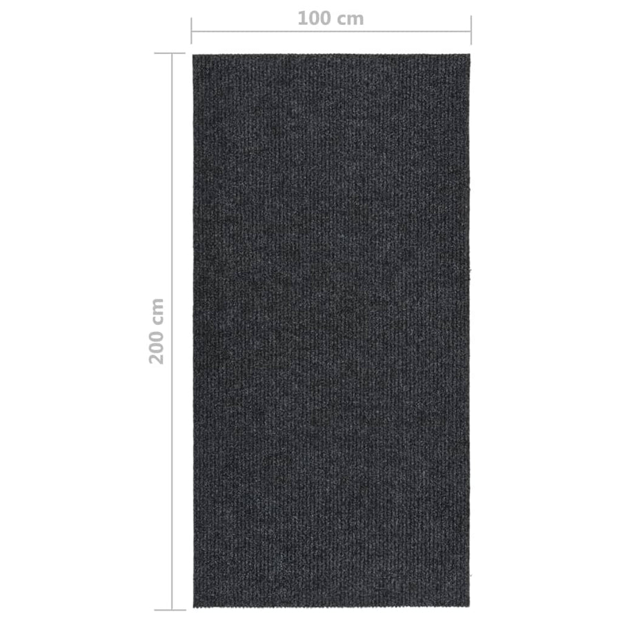 Droogloopmat Kleurig 100 x 200 cm Antraciet